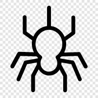 spiderman, spiderwoman, arachnophobia, spiderwebs icon svg