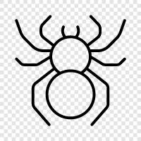 spiderman, spiderwoman, spiderman verse, spiderman comics icon svg