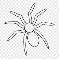 örümcek adam, örümcekler, arachnophobia, arach ikon svg