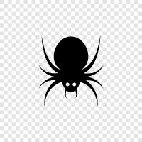 spiders, spiderman, spiderwoman, arachnophobia icon svg