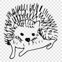 omurgalar, tüyler, Hedgehog gerçekleri, hedgehog ikon svg