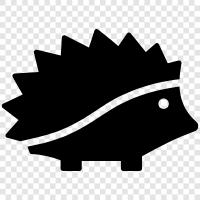 spines, quills, skin, fat icon svg