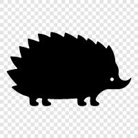 omurgalar, sevimli, arkadaş canlısı, Hedgehog ikon svg