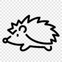 omurgalar, hedgehog kek, hedgehog gerçekleri, hedgehog video ikon svg