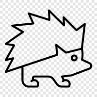 Spiny, Hedgehog, Hayvan, Hayvan Krallığı ikon svg