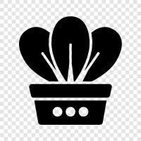 spoon, leaves, edible, plant icon svg