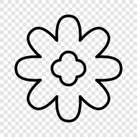 Spring, Bloom, Bloomers, Bouquet icon svg