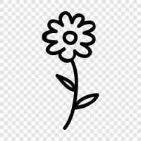 spring flower, daisy, rose, tulip icon svg