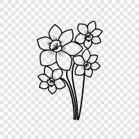 spring flowers, bulbs, flowers, plants icon svg