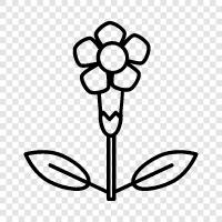 Spring, Bloom, Garden, Bloomers icon svg