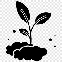 sprouting, vegetables, agriculture, seed icon svg