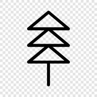 spruce trees, fir tree, Christmas tree, Christmas trees icon svg