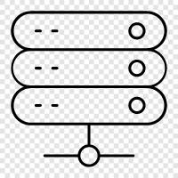 sql, table, data, field icon svg