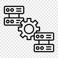 sql, data, information, schema icon svg