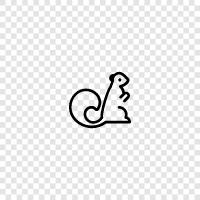 squirrel, animal, animal behavior, animal sounds icon svg