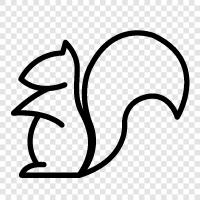 squirrel, animal, cute, furry icon svg