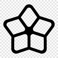 Stern Jasmin, Sternlilie, Sternrose, Sterndistel symbol