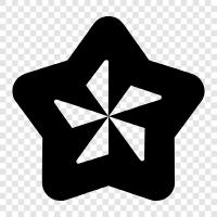 Sternblüten, Sternbruch, Sterntulpe, Sternanis symbol