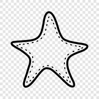 starfish aquarium, starfish for sale, starfish for home, star icon svg