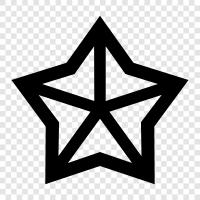 starflower, aster, asteraceae, aster family icon svg