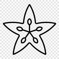 Starfruit, Averrhoa carambola, Star apple, Star Fruit icon svg