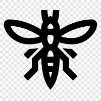 stinging, wasp, yellowjacket, bee icon svg