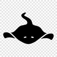 stingrays, swimming, ocean, marine icon svg