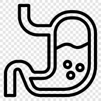 stomach ulcer, stomach cancer, stomach bleeding, stomach pain icon svg