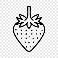 strawberry fruit, strawberry plants, strawberry crops, strawberry farming icon svg