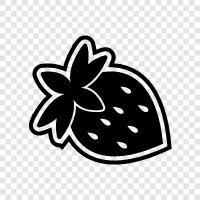 strawberry fruit, strawberry flavor, strawberry milk, strawberry yogurt icon svg