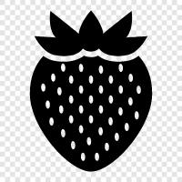 strawberry fruit, strawberry plants, strawberry farming, strawberry growing icon svg