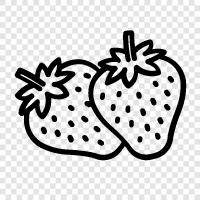 strawberry fruit, strawberry plants, strawberry crop, strawberry farming icon svg