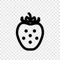 strawberry fruit, strawberry plants, strawberry flowers, strawberry pollination icon svg