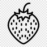 strawberry fruit, strawberry plant, strawberry farming, strawberry harvesting icon svg