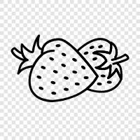 strawberry icon svg