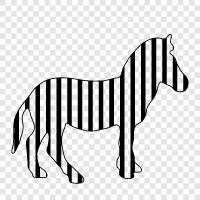 stripes, black and white, animal, animal print icon svg