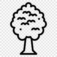 stump, branch, leaf, bough icon svg