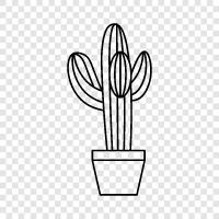 succulent, desert, prickly, flowers icon svg