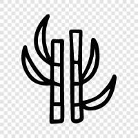 sugarcane, sugar, cane, harvest icon svg