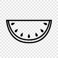 summer, delicious, healthy, refreshing icon svg