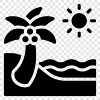 sun, sand, ocean, swimming icon svg