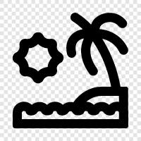 sun, sand, waves, swim icon svg