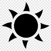 sunflower, sun tan, sunburn, sunrise icon svg