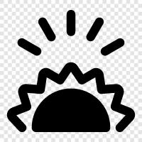 sunflower, sun tan, sun screen, sunhat icon svg