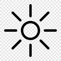 sunflower, sunrise, solar, solstice icon svg