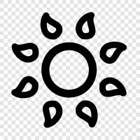 sunflower, sun tan, sunstroke, sun visor icon svg