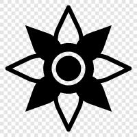 Sonnenblumen, Sonnenblumenkerne, Sonnenblumenöl symbol