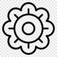 Sonnenblumen, Sonnenblumenkerne, Sonnenblumenöl symbol