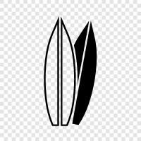 surfing, boards, surfing equipment, longboard icon svg