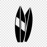 surfing, surfing equipment, boards, longboard icon svg